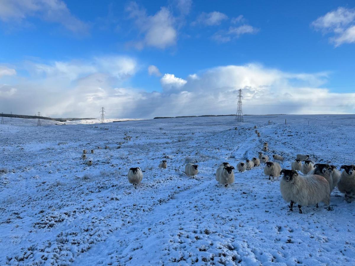 MelvichPentland View Croft With A Sea Viewアパートメント エクステリア 写真